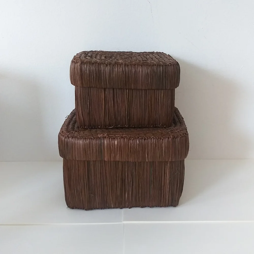 2 Straw Woven Square Cottagecore Boho Storage Boxes w/ lids